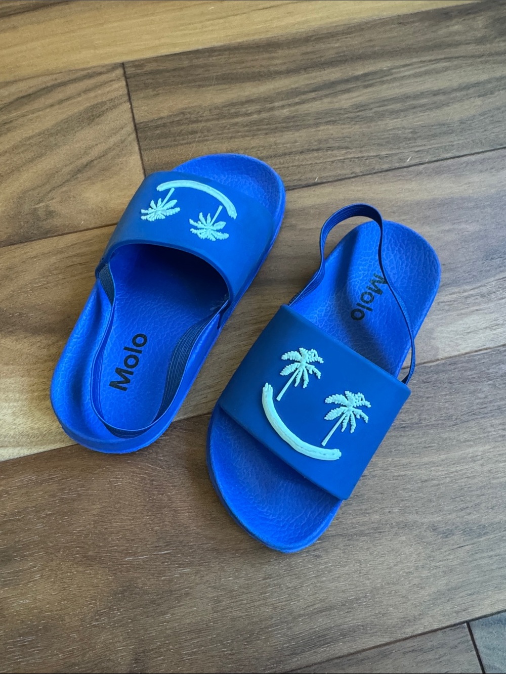 Molo Royal Blue Palm Slide Sandals